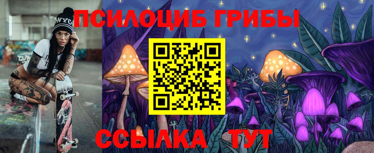 Галлюциногенные грибы Cubensis  Вход с VPN  Губаха  где найти наркотики  Галлюциногенные грибы Psilocybine cubensis 